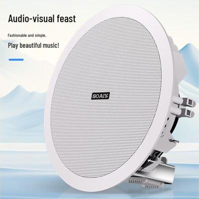 Soaiy XD-1561Y Потолочная акустическая система Bluetooth 6,5 дюйма, штекер CN (адаптер в комплекте)