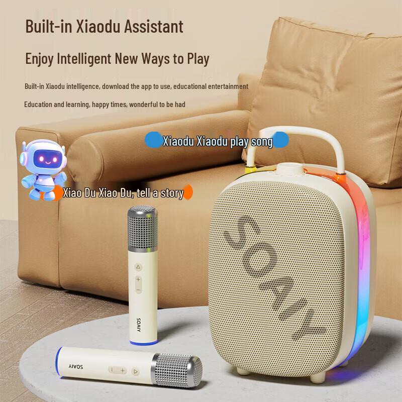 Soai SSK02 All-in-One Bluetooth KTV Speaker