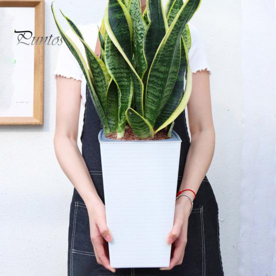 Self-Watering Plant Pot with Drainage Holes Automatic Watering Flowerpot Water Storage Planter for Indoor Outdoor Plants