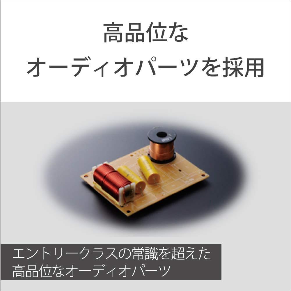 Sony 2-полосная акустическая система SS-CS8: (1 единица) СС-CS8