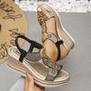 Мода Мода Кристаллы Танкетка Каблук Сандалии Женские Летние Массивная Платформа Богемные Sandalias Mujer Слипоны Высокий Каблук Сандалии Женские 43