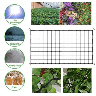 Сетка для теплицы Grow Tent с 4 крючками, эластичная нейлоновая сетка, тяжелая
