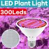 E27/E26 Full Spectrum Plant Light Bulb Seedling Light Bulb Greenhouse Tent Succulent Hydroponic Box Vegetable Flower Fruit Cactus Potted Lighting