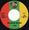 7-дюймовая пластинка J BOOG / PROTOJE, KYMANI MARLEY - Waiting On The Rain / Rasta Love DCR1147 Don Corleon/Купить 2018 Европа Регги, Ска и Даб