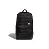 Рюкзак Полиэстеровый Обычный Унисекс Угольно-черный Adidas DW4272