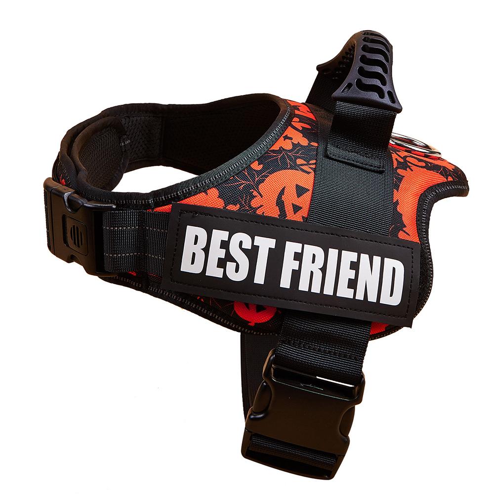 Милый ошейник-шлейка для щенка и котенка, светоотражающая шлейка-жилет для маленькой собаки, для прогулок на улице, защита от потери, корги, лабрадор, чихуахуа