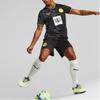 Puma Футболка с коротким рукавом и V-образным вырезом с логотипом, мужские топы Dortmund Away Fan Edition, черные 765884-02