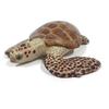 Papo Marine Animal Sea Turtle Figure, Popular Toys In Korea
