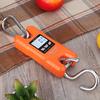 WeiHeng Portable Heavy Duty Digital Crane Scale 500kg/1102Lbs Multifunction Hanging Luggage Scale