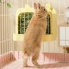 Wall Hanging Rabbit Hay Rack Chew Proof Pet Food Dispenser Practical Grass Rack  Indoor Rabbit Cage