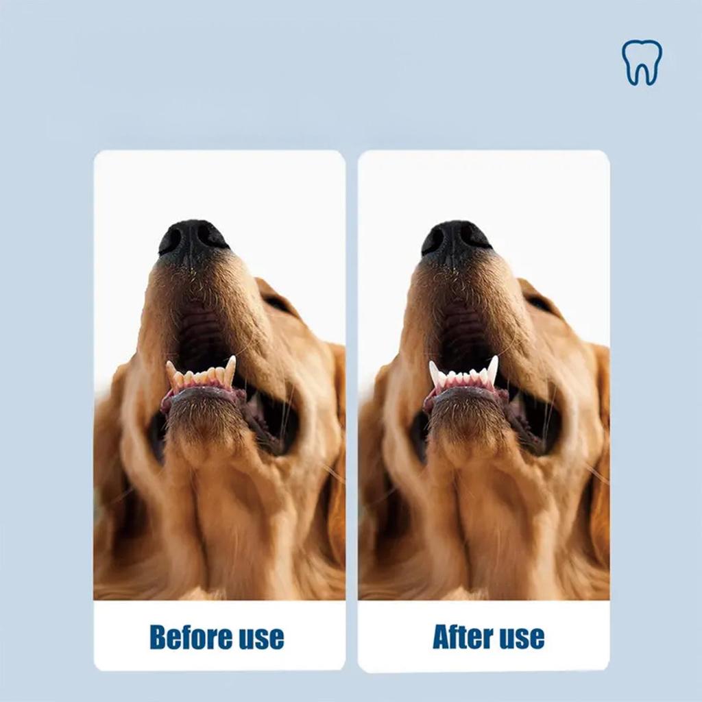 Pet Tooth Powder Efficiently Cleans the Surface of Teeth and Helps Maintain Children's Oral Hygiene