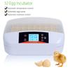 AC110V/220V 50-60HZ 32 Digital Egg Incubator Hatcher Temperature Control Automatic Chicken Poultry 80W