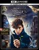 Fantastic Beasts and Where To Find Them 4K ULTRA HD 2D Set & Blu-ray (2 Discs) [Blu-ray]