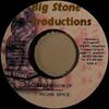 7inch Record RICHIE SPICE, RAQUEL SELLARS - All I Vision Of / Quite Like Me NONE Big Stone Produ 2005 Jamaica Reggae, Ska & Dub Used