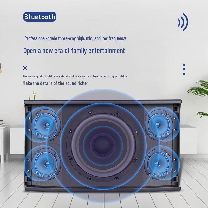 Профессиональные пассивные акустические системы SAST для KTV и конференций