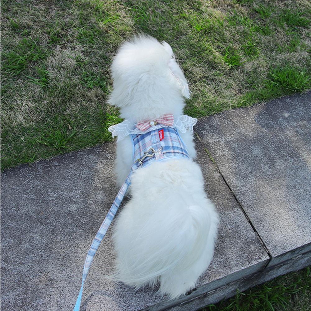 Милая шлейка для щенков в клетку с бантом для прогулок с поводком и шлейкой для маленьких собак, шнауцеров, пуделей, талисманов, аксессуаров