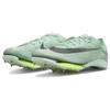 Nike Кроссовки унисекс Air Zoom Victory Mint Foam Volt Green Cave-Purple DR9908-300