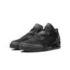 Air Spizike Low Black Cat