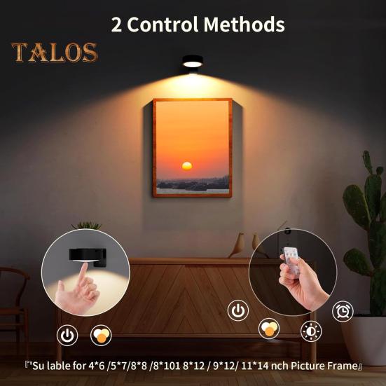 Picture Light with Remote Control 100 Lumens High Brightness Stepless Dimming 3 Lighting Modes Battery Operated No Drill Wall Art Light