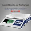 HOCHOICE HCS3011 Industrial Digital Counting Scale (CN version)