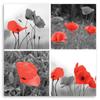 Canvas print, Set of red poppies