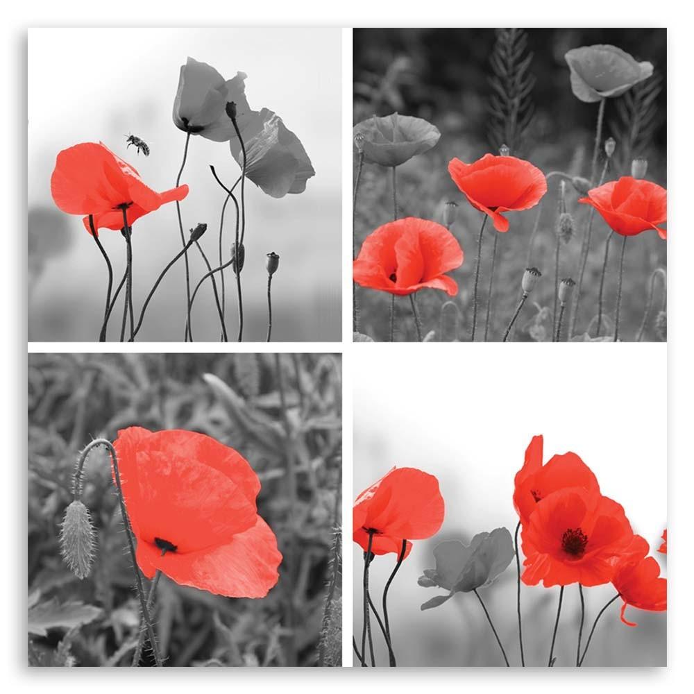 Canvas print, Set of red poppies