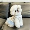Blue Color Teddy Dog Skirt Cute Style Princess Dress New Summer Dog Dress  for Small Dogs