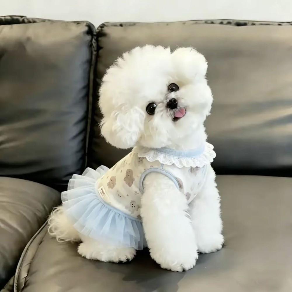 Blue Color Teddy Dog Skirt Cute Style Princess Dress New Summer Dog Dress for Small Dogs