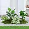 Bionic Fake Plants for Indoor Decoration: Living Room, Window Display, Under Stairs, Corner Arrangement.