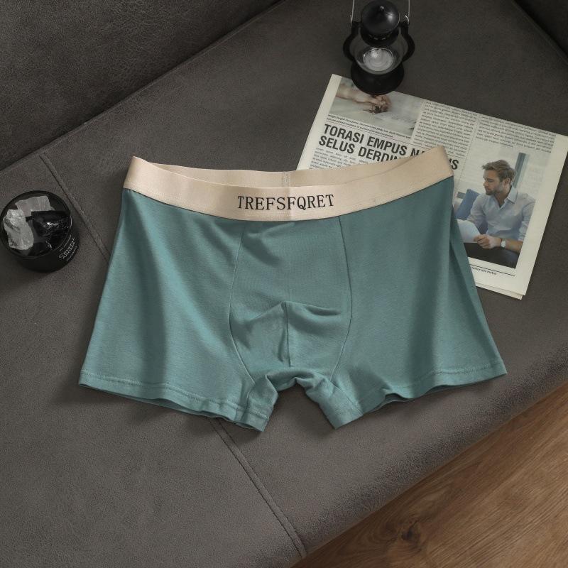 Men's Cotton Underwear Letters Simple Breathable Panties Knickers Men's Boxer Briefs Boxer Briefs Underpants