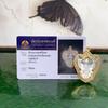 Thai Buddhist Garuda Amulet Unisex Pendant with Authentication Card