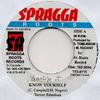 7-дюймовая пластинка TERROR FABULOUS / LUKIE D - Know Yourself / Memories NONE Spragga Roots 2000 Ямайка Регги, Ска и Даб Б/У