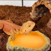 Reptile Water Bowl Reptile Tank Snake Water Basin Dish Snake Feeding Station Reptile Terrarium Bowls Decoration For Tank Tray