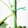 Садовая проволока-завязка для растений, мягкая, зеленого цвета, скручивающаяся, для подвязывания растений, зеленая, для поддержки растений, для дома