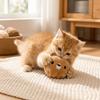 Bite Resistant Plush Dog Toy Ball Soft Squeaky Dog Toy Cute Dog Training Toy Ball  Fetch Play
