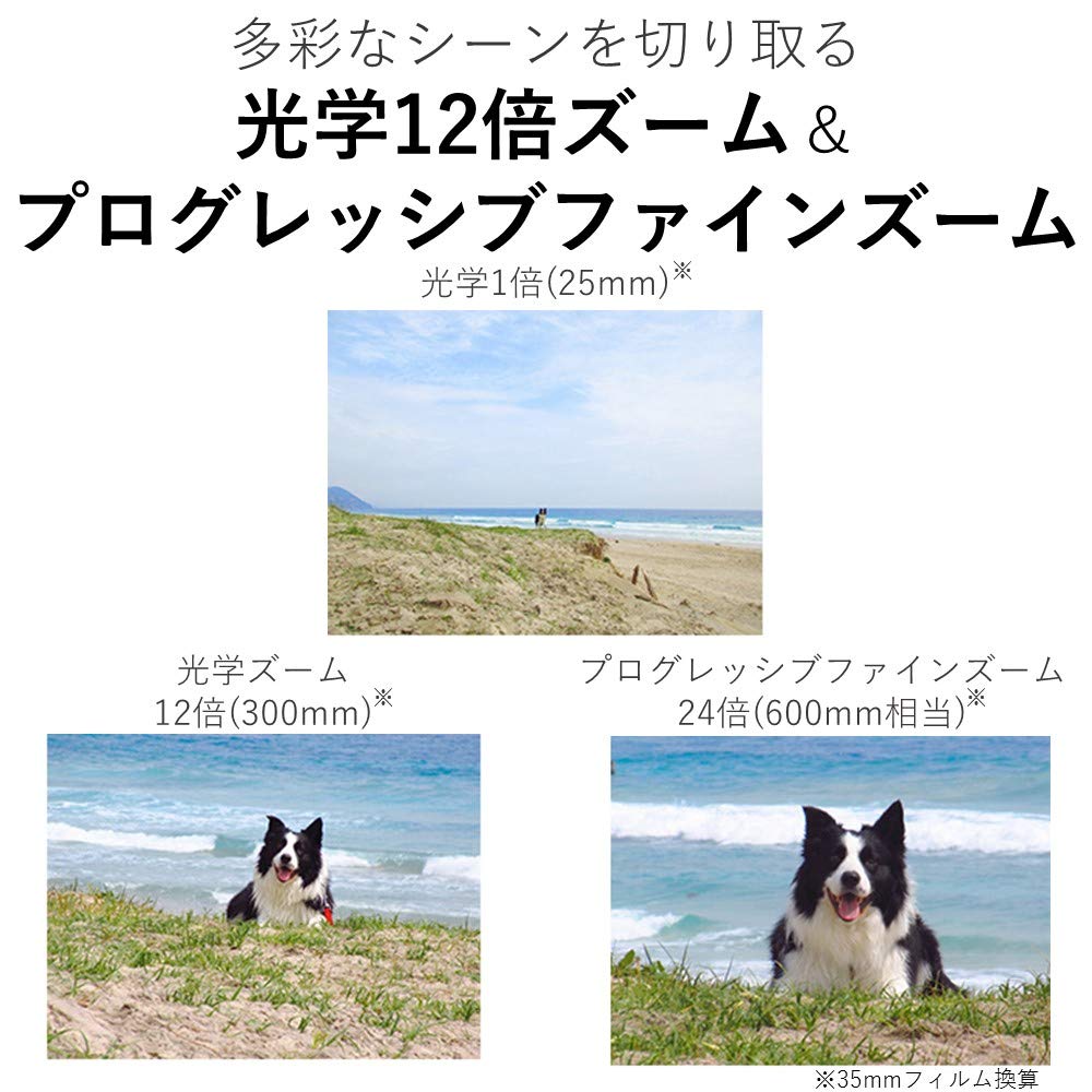 Компактная цифровая камера Canon IXY 650 Silver с 12-кратным оптическим зумом/Wi-Fi IXY650SL-A