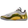 Мужские баскетбольные кроссовки Lebron 23 LUX EP Серый Золотой IF0696-001