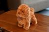 Sanei Boeki Graceful Dog (Made In Japan) Small Apricot Toy Poodle, Standing Plush Toy, 24cm Long, I6857