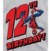 Spider-Man Childrens/Kids Heather Pull Over 12th Birthday Hoodie