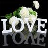 Freestanding Wood Wooden Letters Alphabet Bridal Wedding Party Home Shop Decor