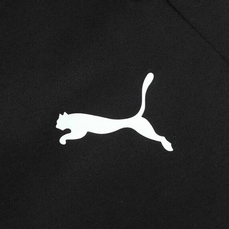 Puma Мужские брюки-карго на шнурке 682276-01