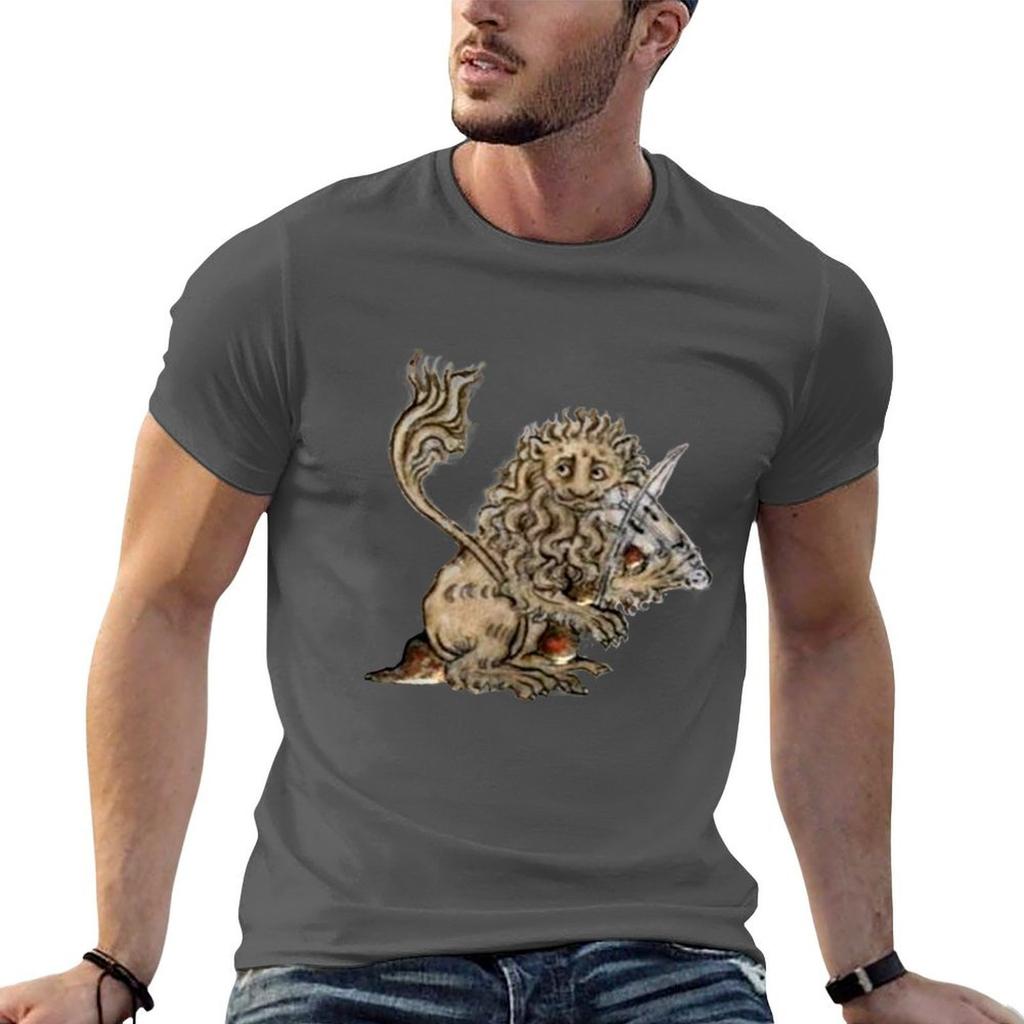 Medieval Marginalia Lion With Violin Tshirt Casual Streetwear Short Sleeve Tee