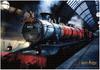 Tenyo In 500 Piece Flash Magic Jigsaw Puzzle Harry Potter Hogwarts Express Comes with Glue and Spatula Includes Service Card Flash Photography with