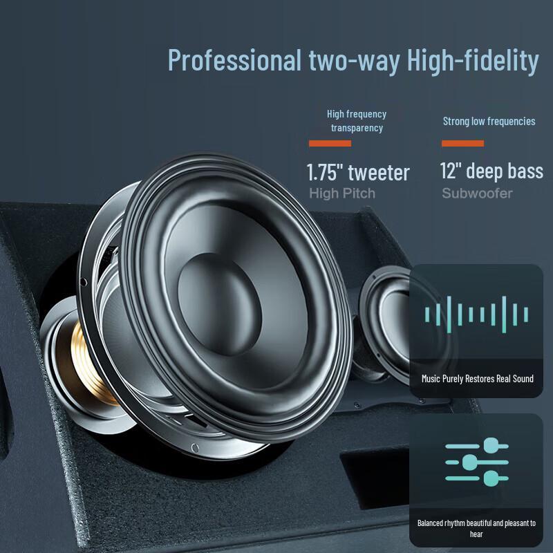 HuiDu 12-inch Professional Stage Monitor Speaker (CN version)