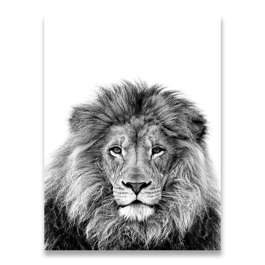 Lion Cub Print Black and White Lioness Animals Posters Safari Nursery Wall Decor Baby Animal Kids Wall Art Canvas Painting
