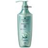 Шампунь Schwarzkopf Oil Control & Anti-Dandruff