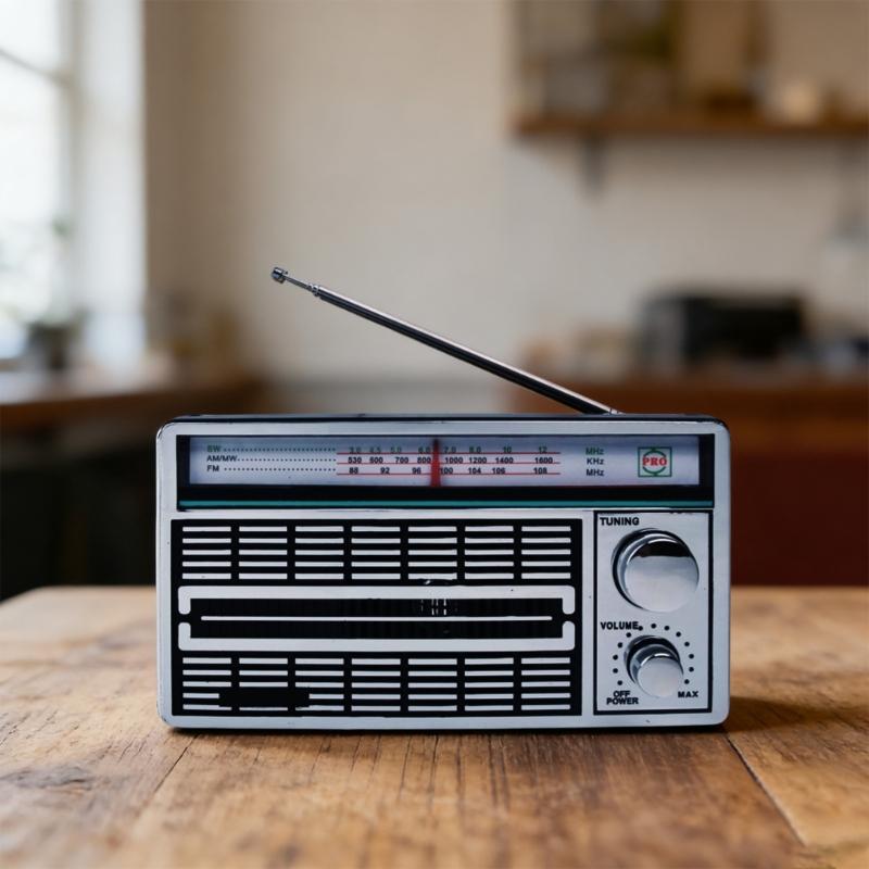 Ретро Радиоприемник AM FM SW Специально для Пожилых Людей Простое Управление Громкий Динамик и Питание от Батарей или Сети 230В