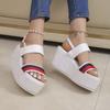 Platform Women's Sandals Summer High-heeled Buckle Strap Ladies Sandals Peep Toe Shoes for Women  Large Size Ladies Shoes