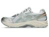 1203A275-108 Asics GT-2160 Miami Dolphins (Мужской)