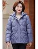 Женская осенне-зимняя куртка однотонная с капюшоном свободная короткая утолщенная ветрозащитная куртка для мам